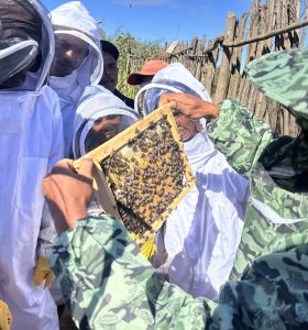 Bee Keeping
